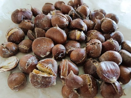 חורף (6) (Phone).jpg