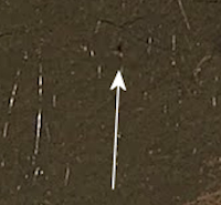 חור ורחמיר.png