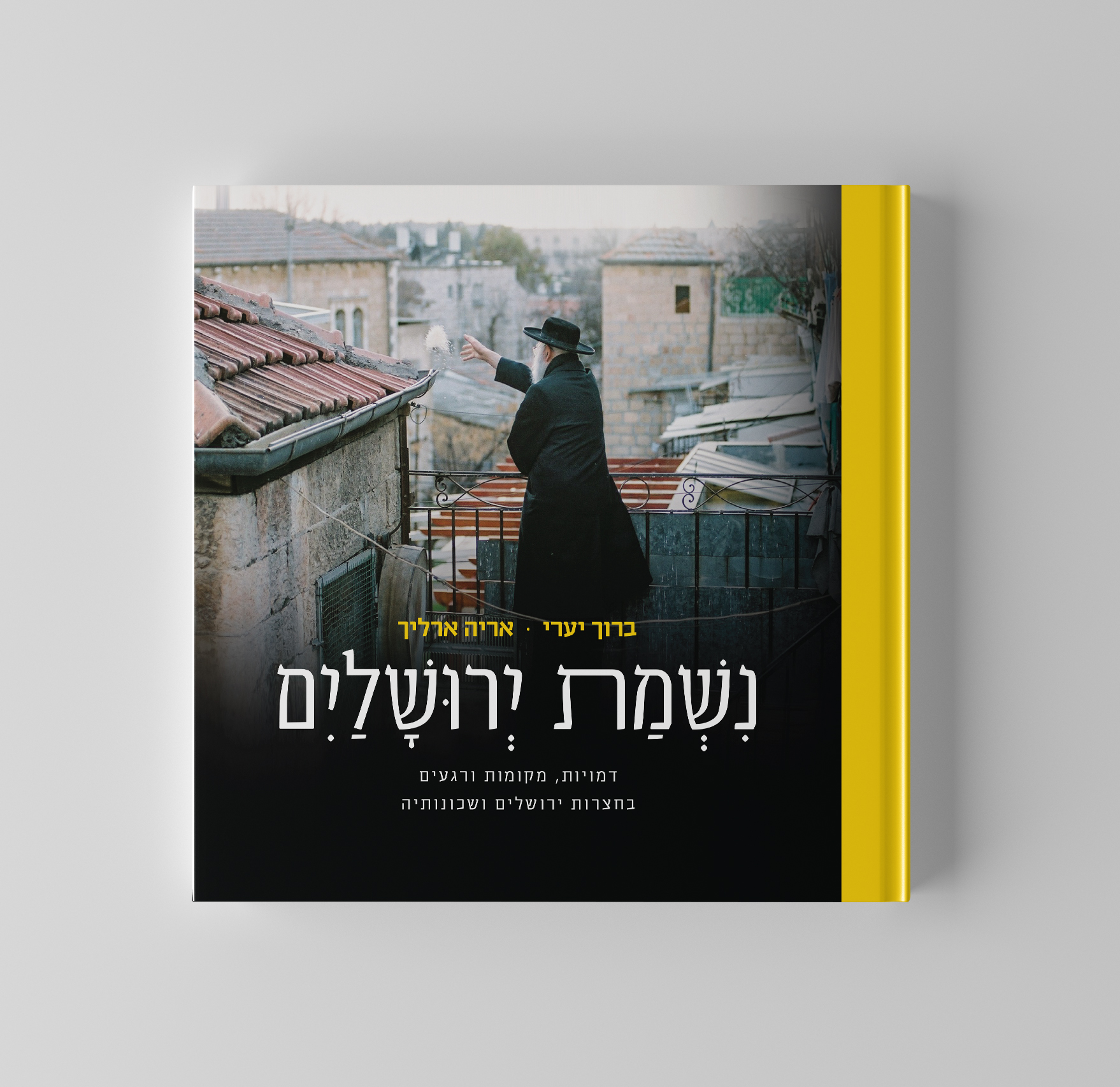 חזית רקע בהיר(5).jpg