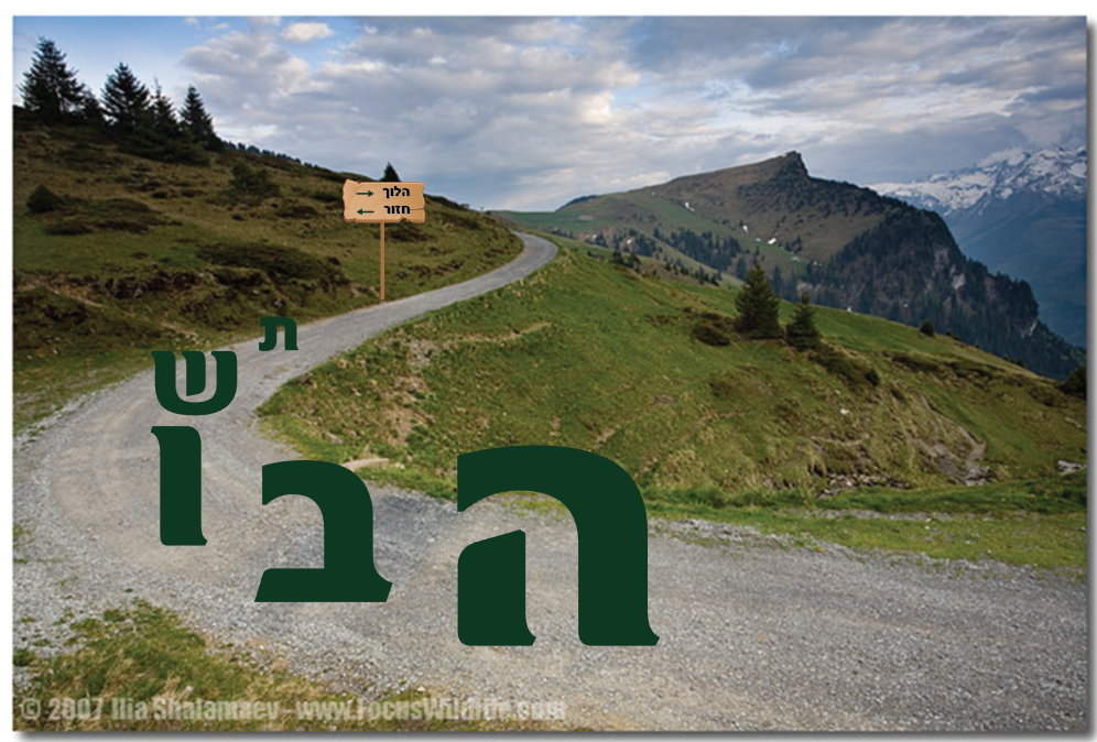 חזר בתשובה.png