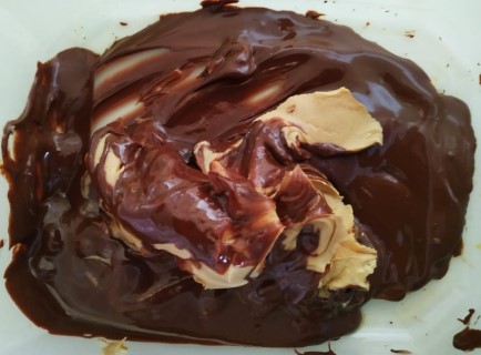 חטיף (4) (Phone).jpg