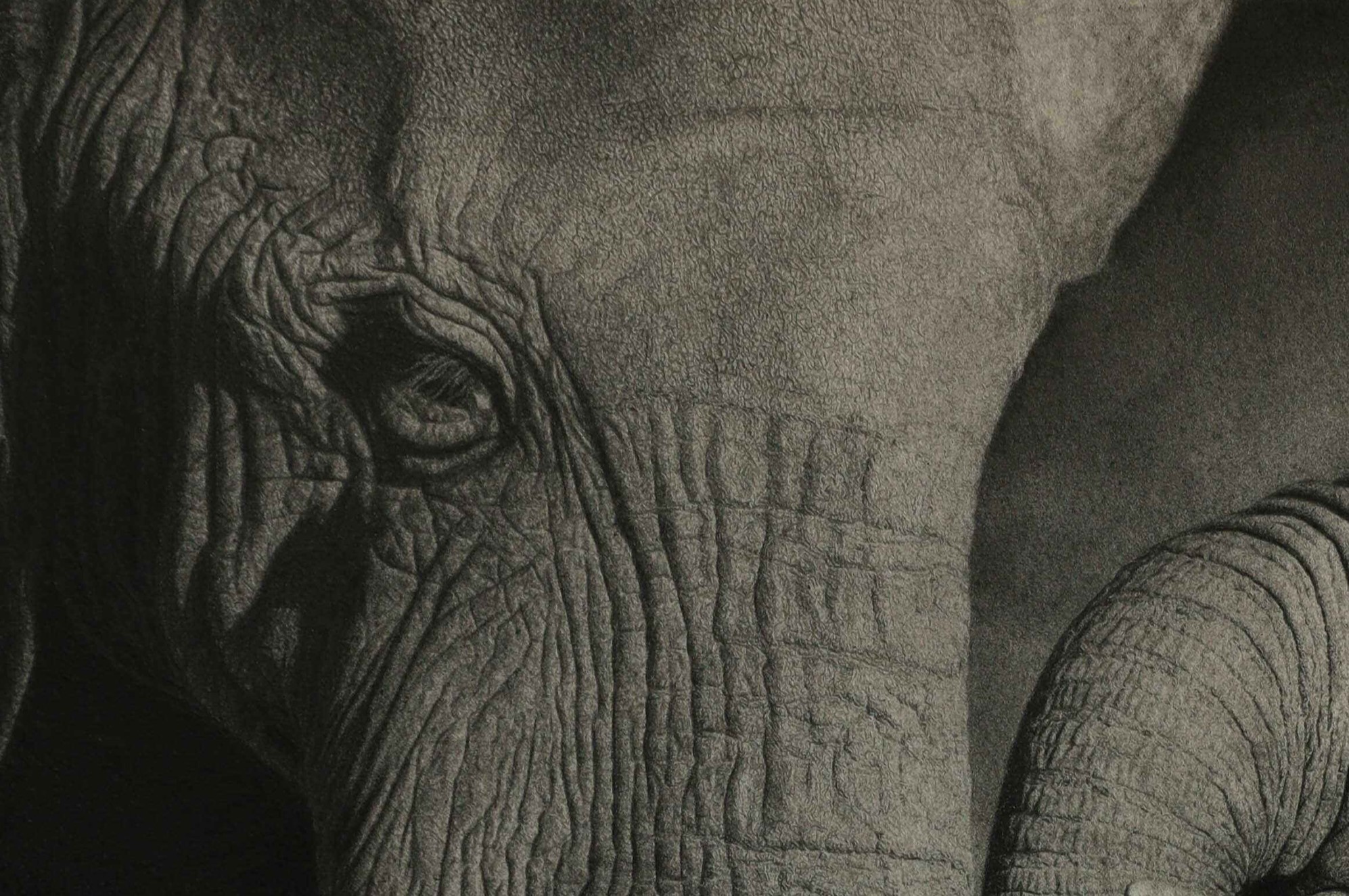 חיבת-אם-(1-of-1)_optimized (1) (1)_4000x2810.jpg