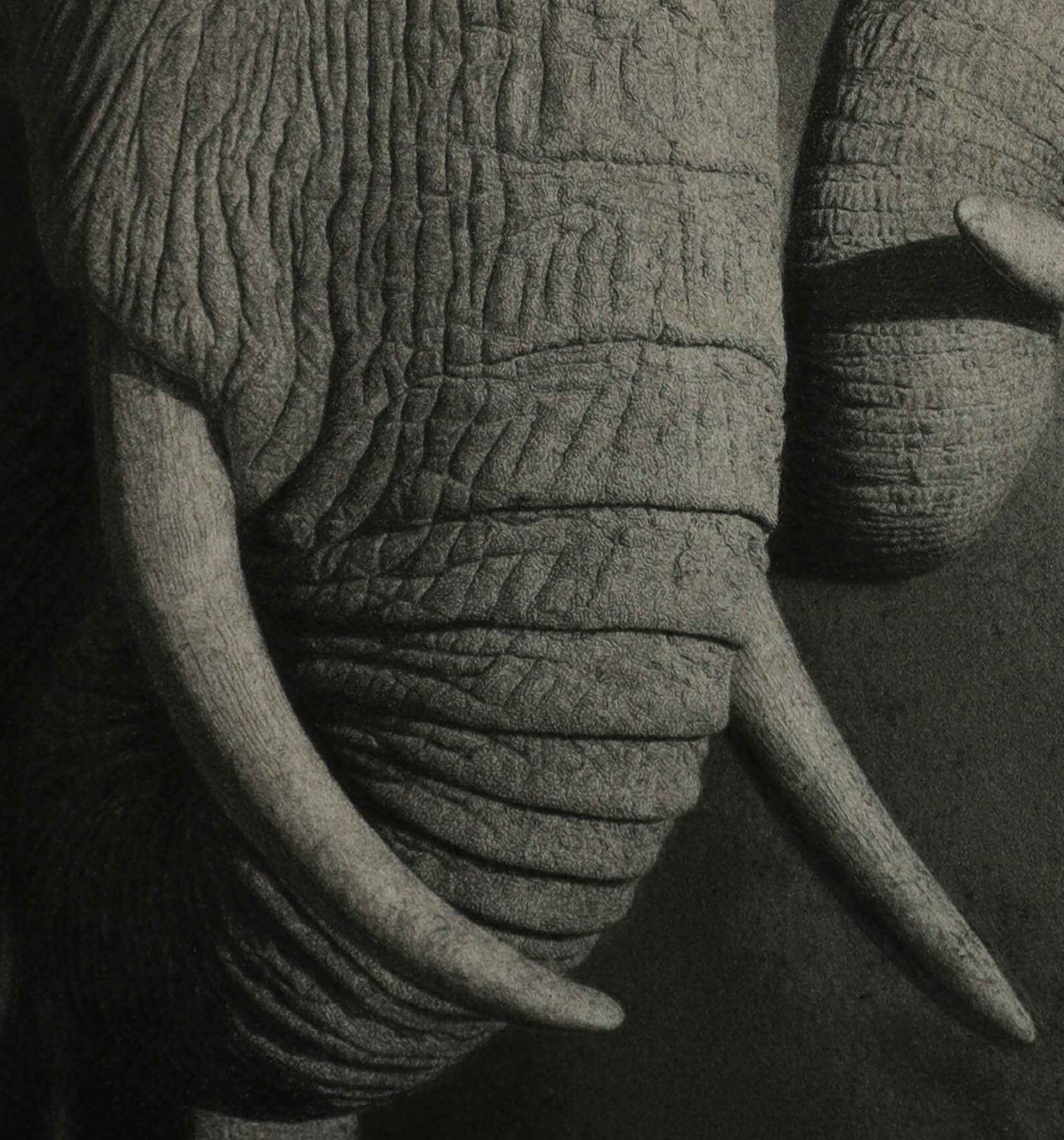 חיבת-אם-(1-of-1)_optimized (1) (1)_4000x2810=.jpg