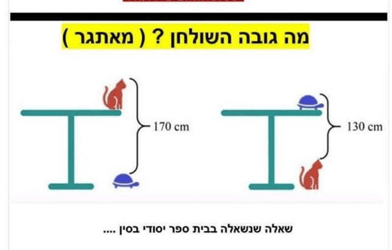 חידה מאתגרת.png