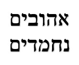 חידה 17.jpg