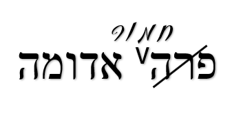 חידה 44.png