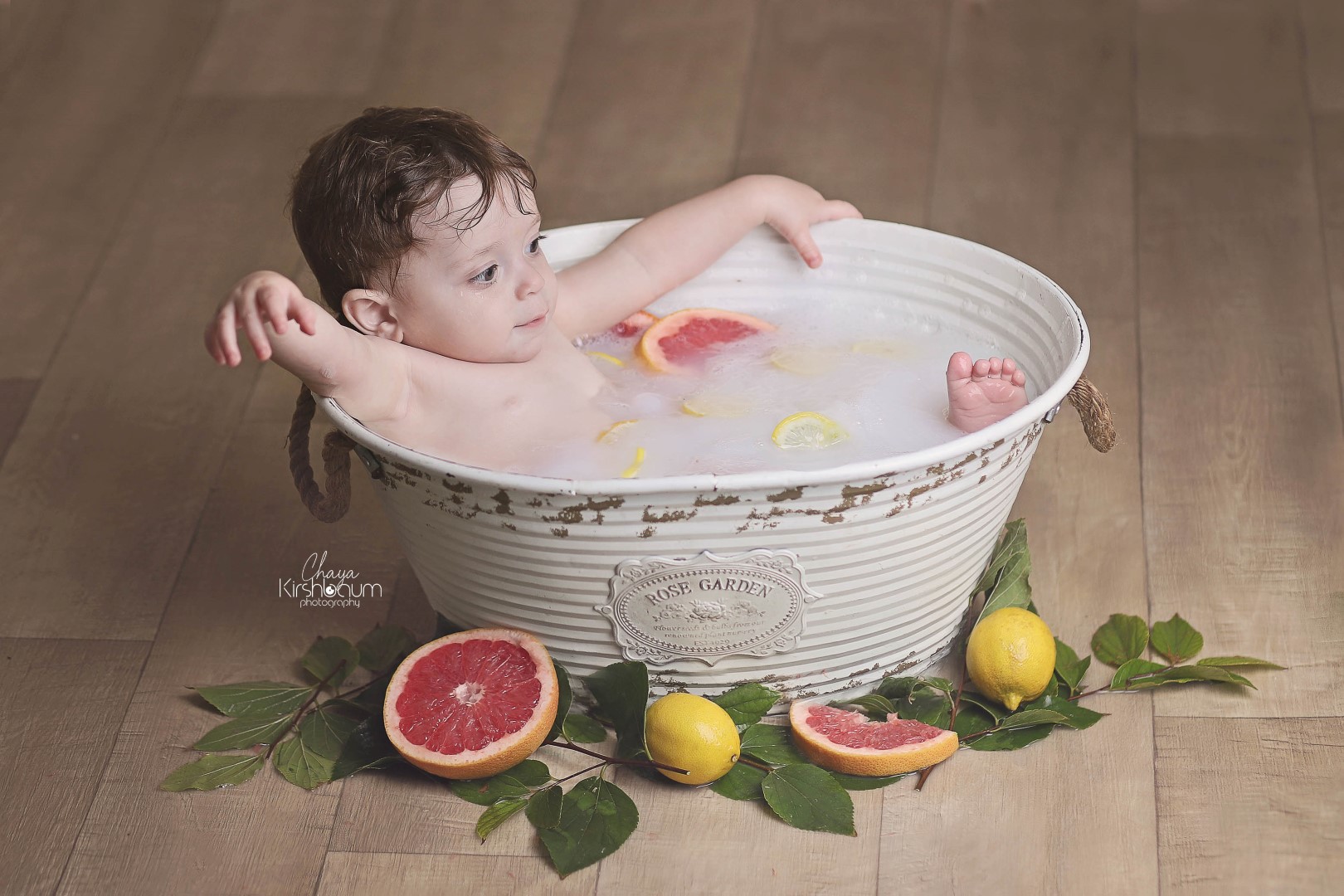 חיה קירשבוים  (10) (Large).jpg