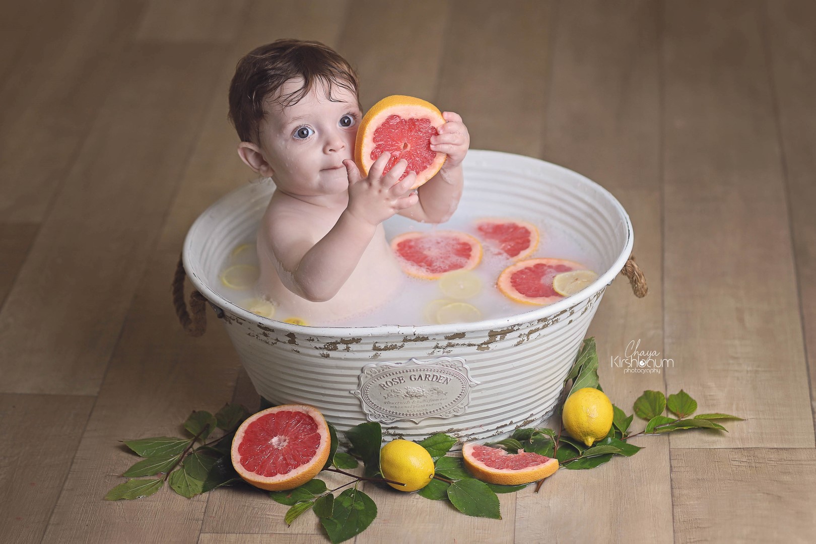 חיה קירשבוים  (12) (Large).jpg