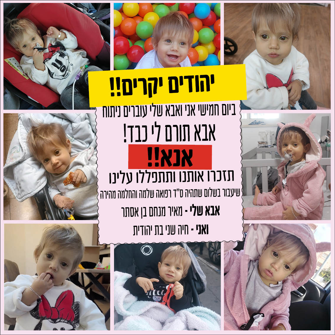 חיה שני לתרומות2.jpg