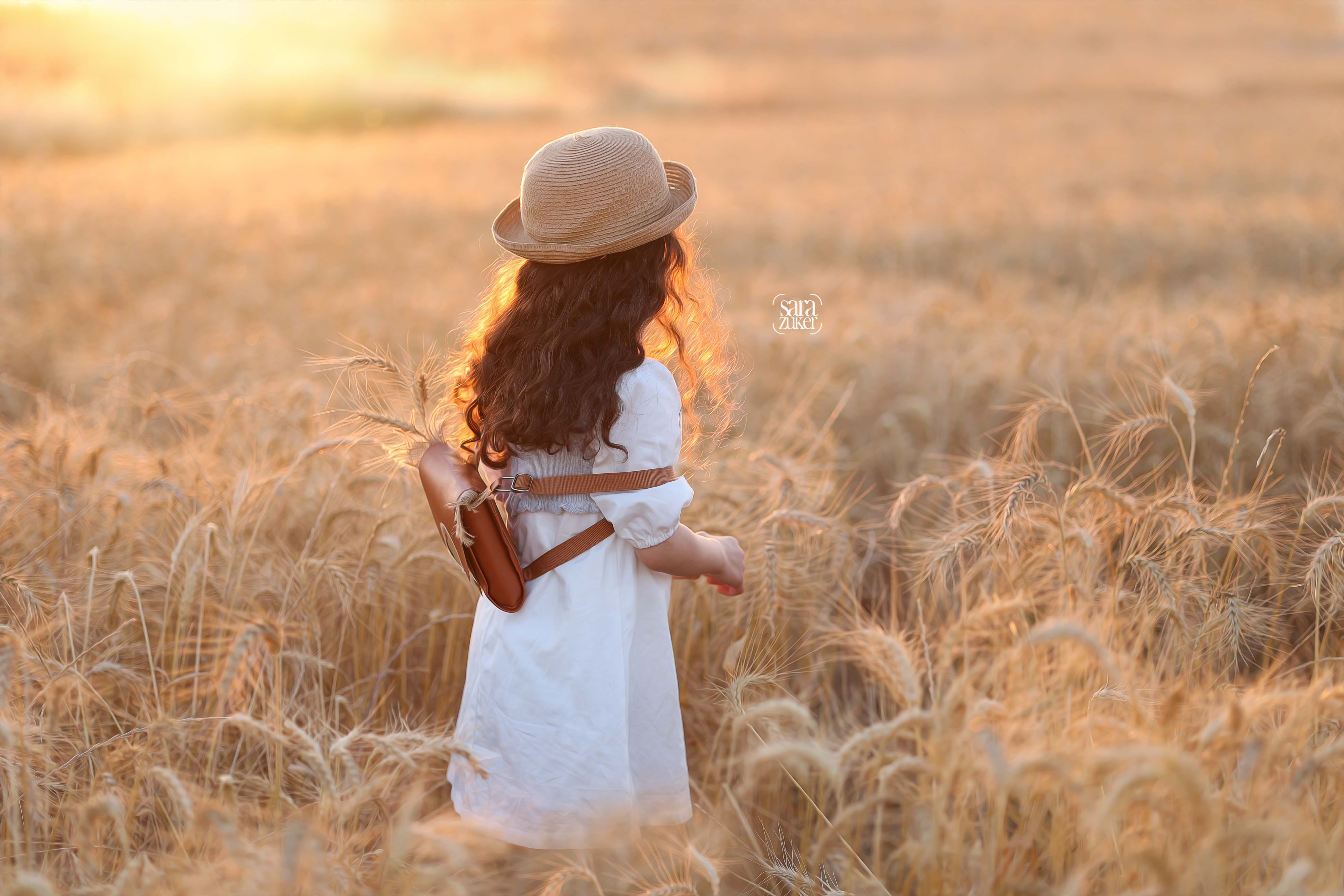 חיטים צילום שרה צוקר 0527695445.jpg