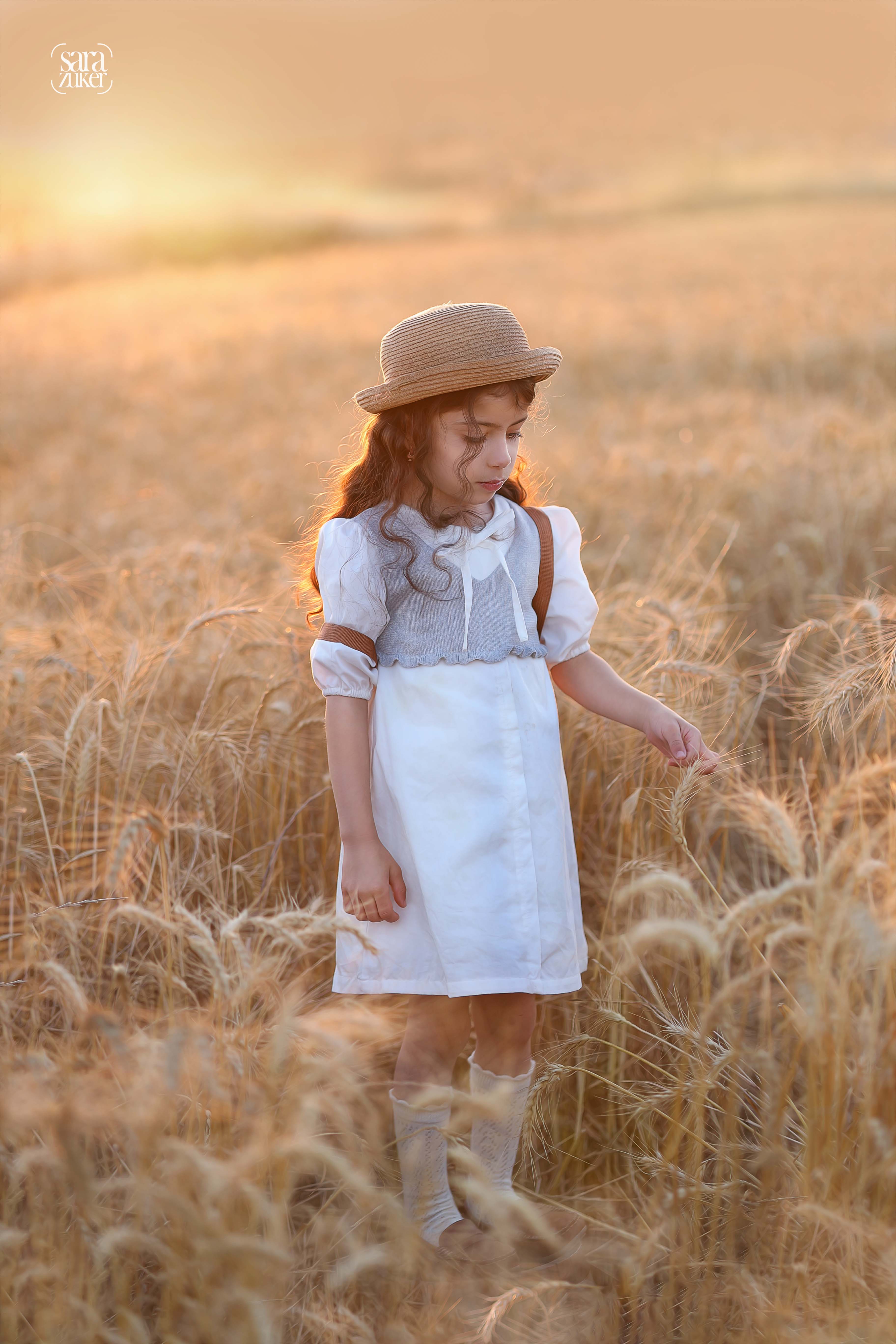 חיטים 1צילום שרה צוקר 0527695445.jpg