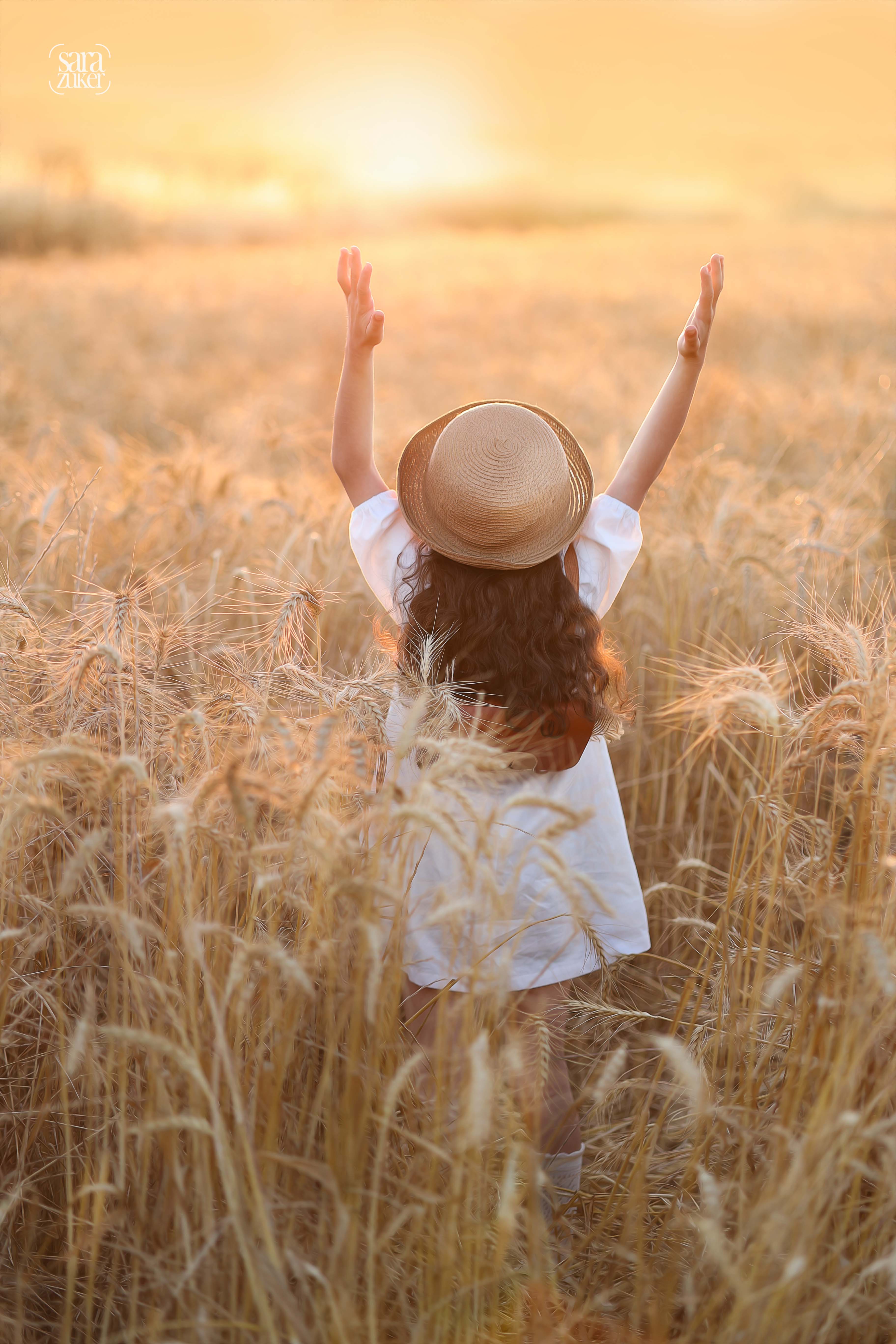 חיטים 3צילום שרה צוקר 0527695445.jpg