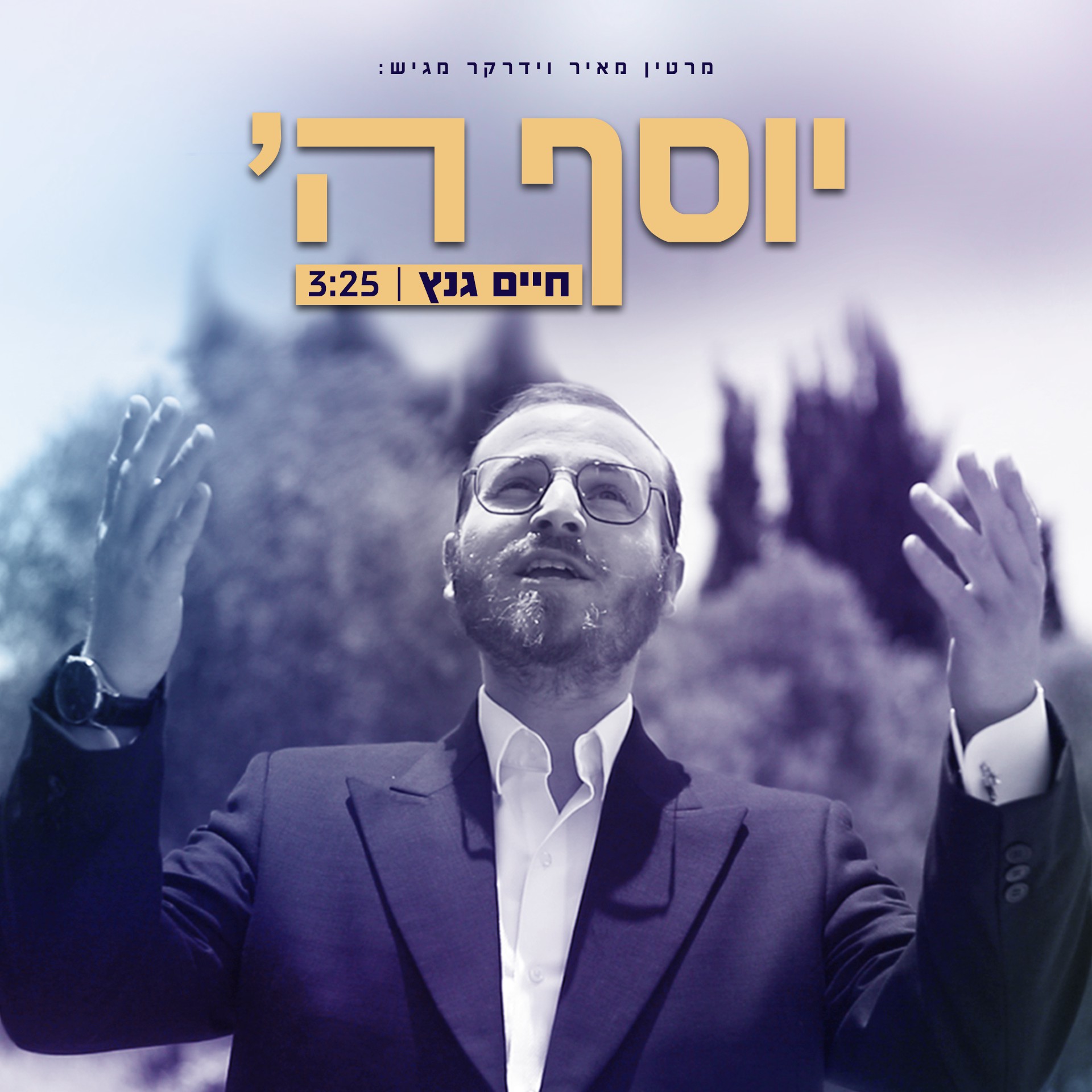 חיים גנץ - יוסף השם עליכם.jpg