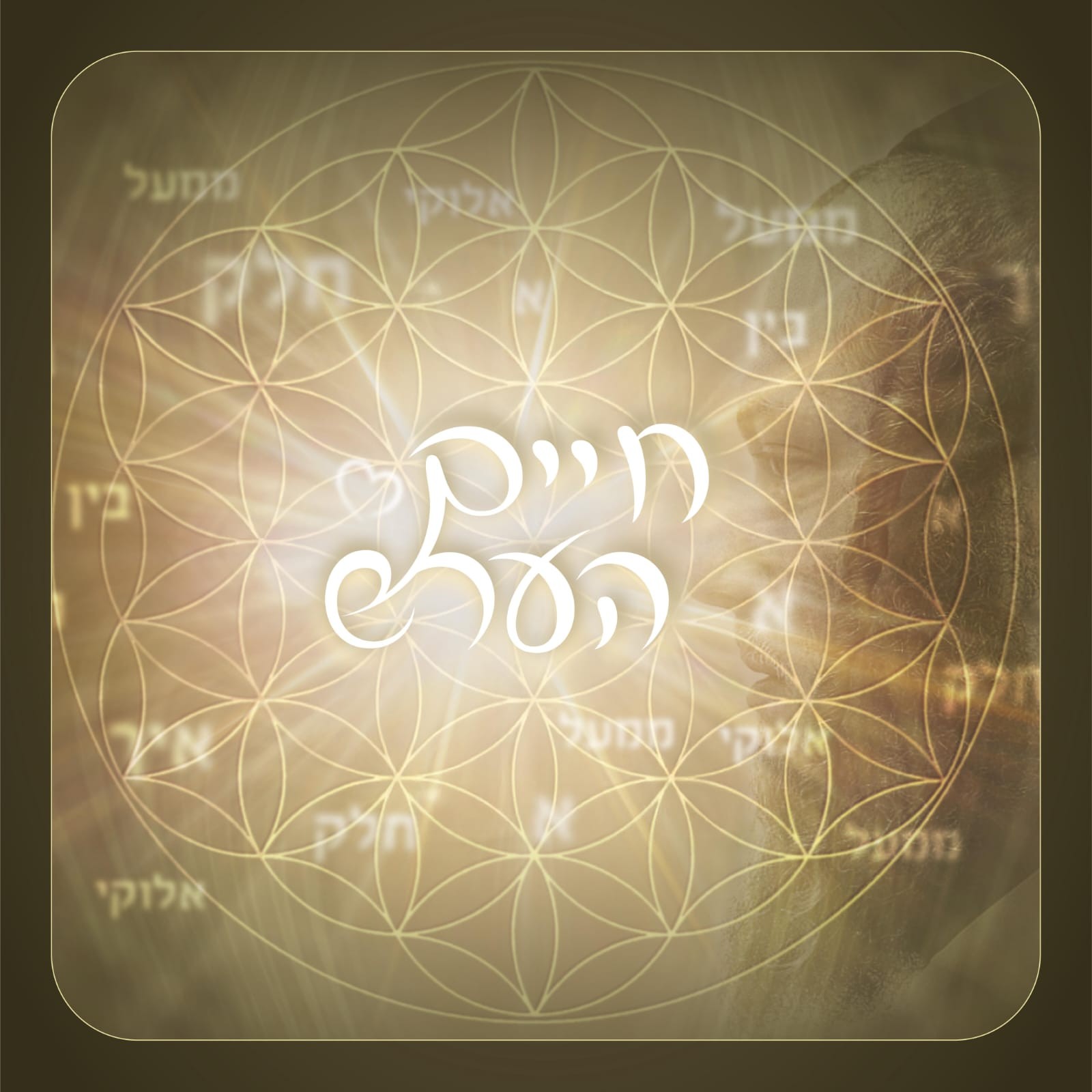 חיים הערש - חלק אלוק ממעל.jpg