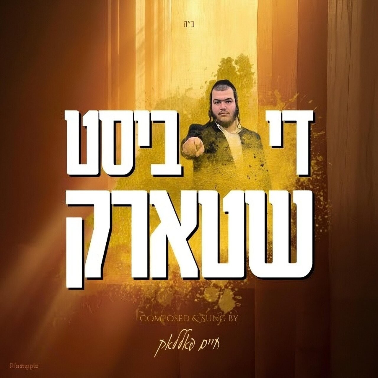 חיים פולק - די ביסט שטארק.jpg