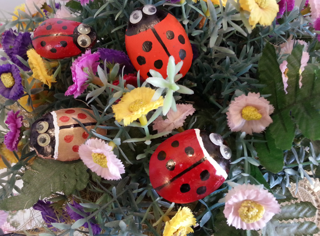 חיפושית 7.png