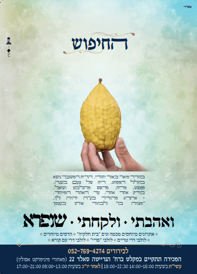 חיפוש.PNG