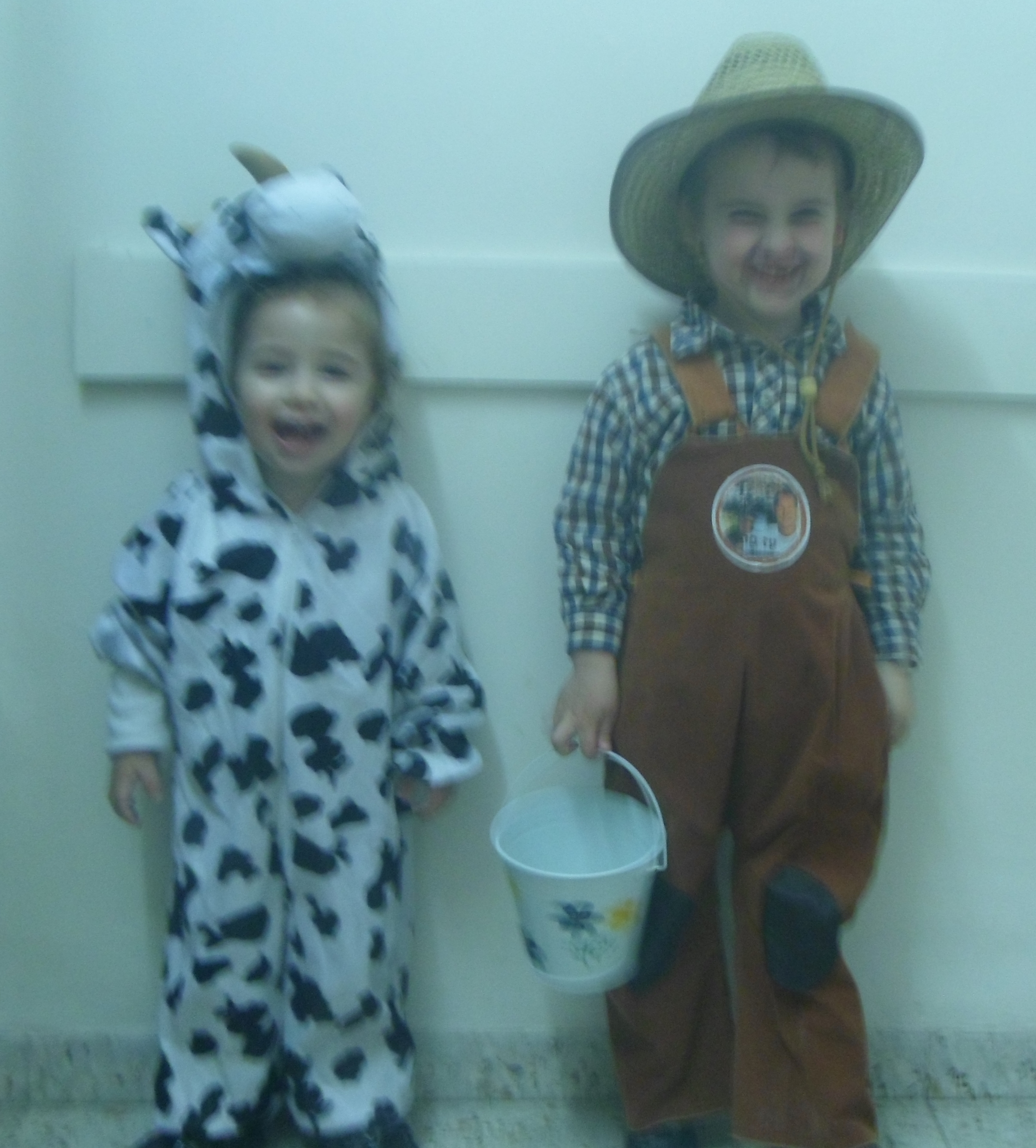 חלבן ופרה.JPG