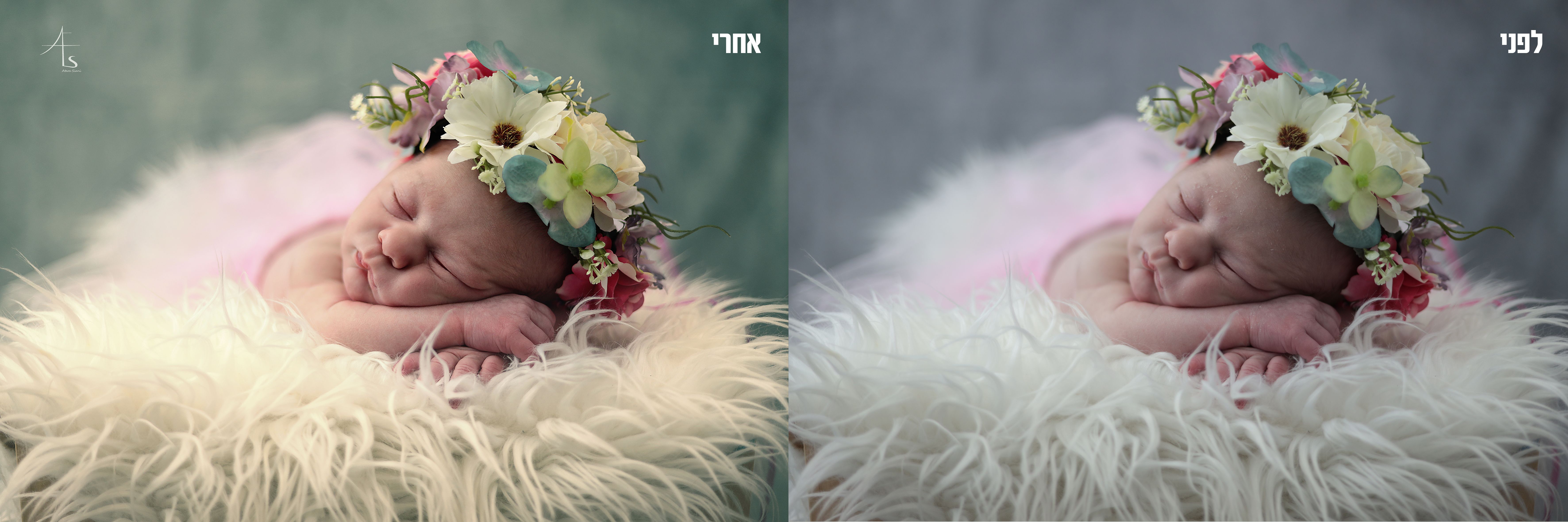 חלומית קטנה 2.jpg