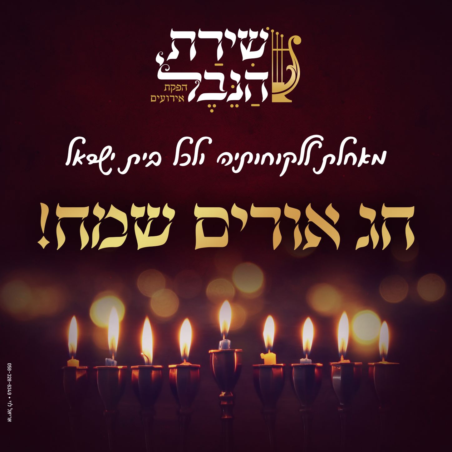 חנוכה שמח שירת הנבל.JPG