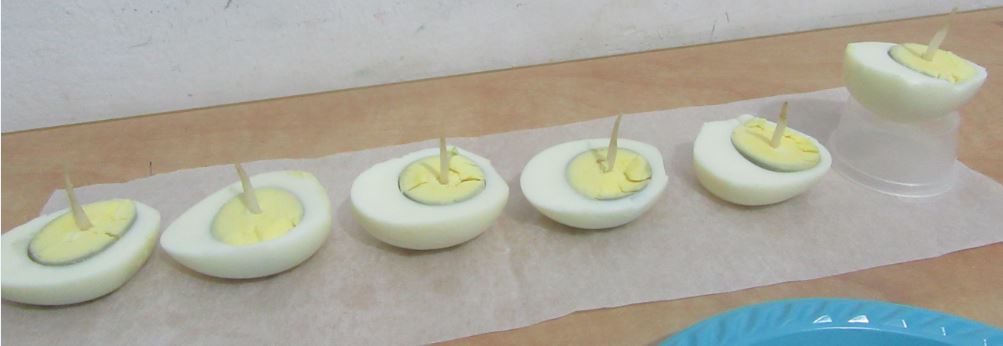 חנוכיית ביצים.JPG