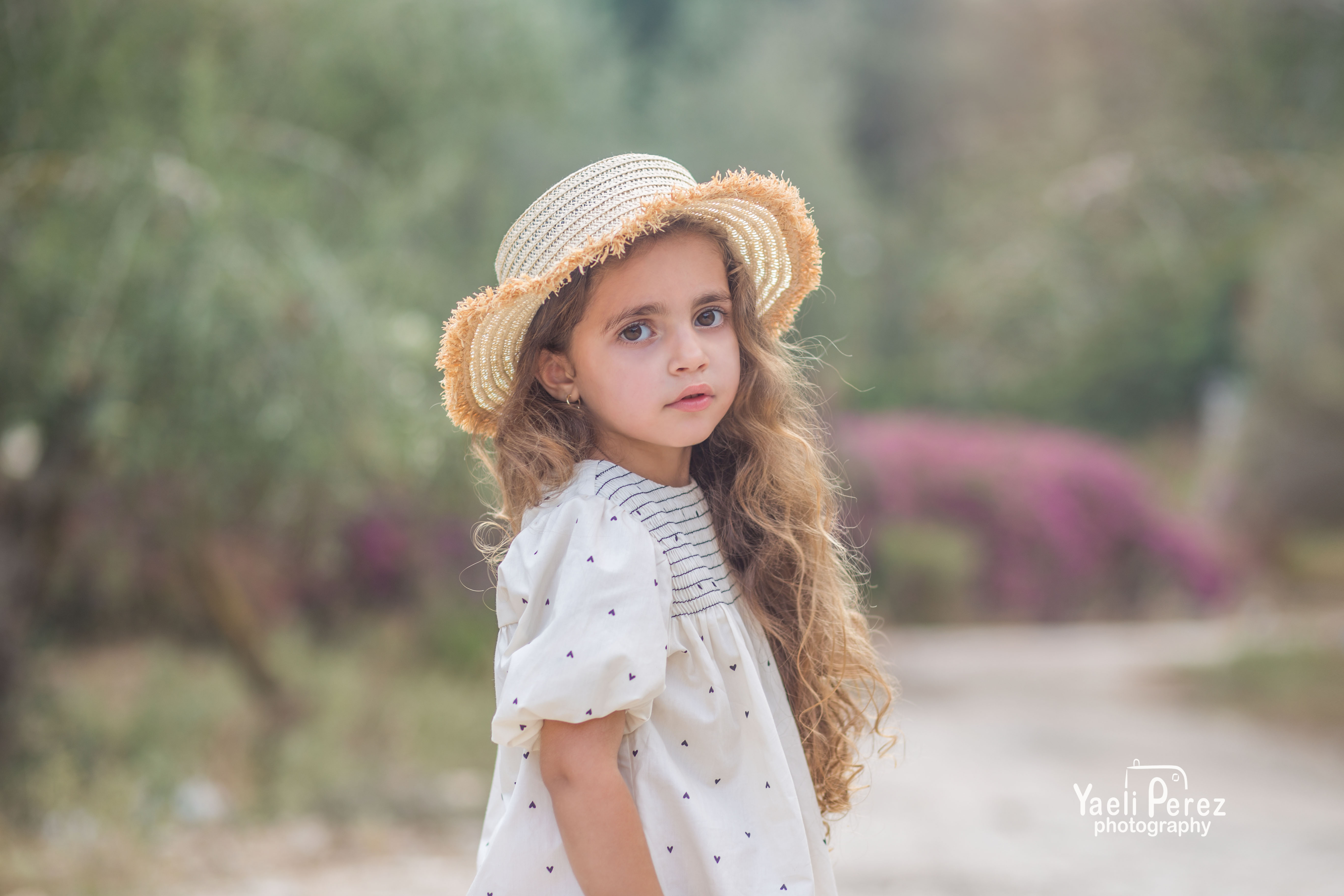 חניי ערוך.jpg