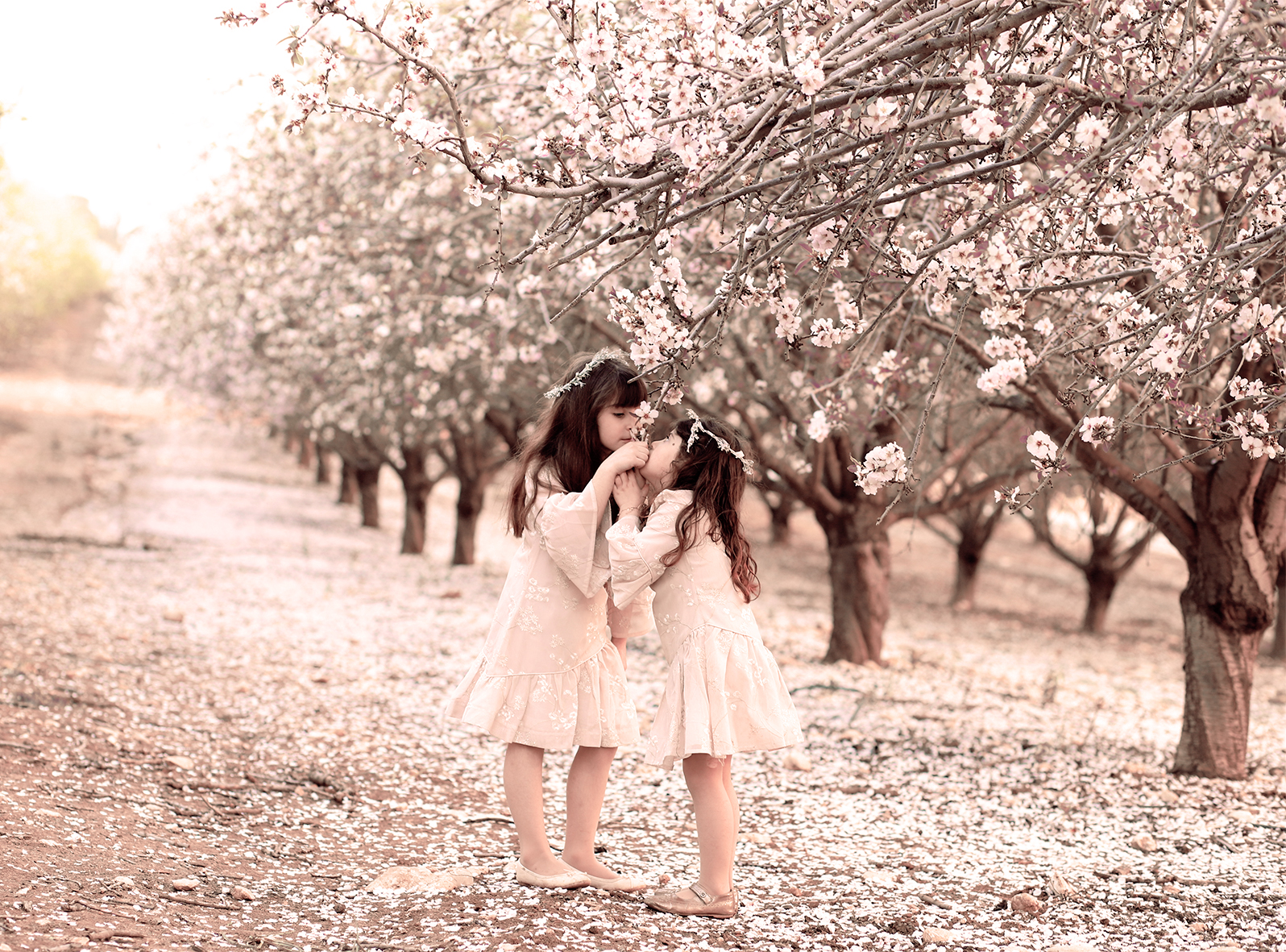 חני ואלישבע.jpg