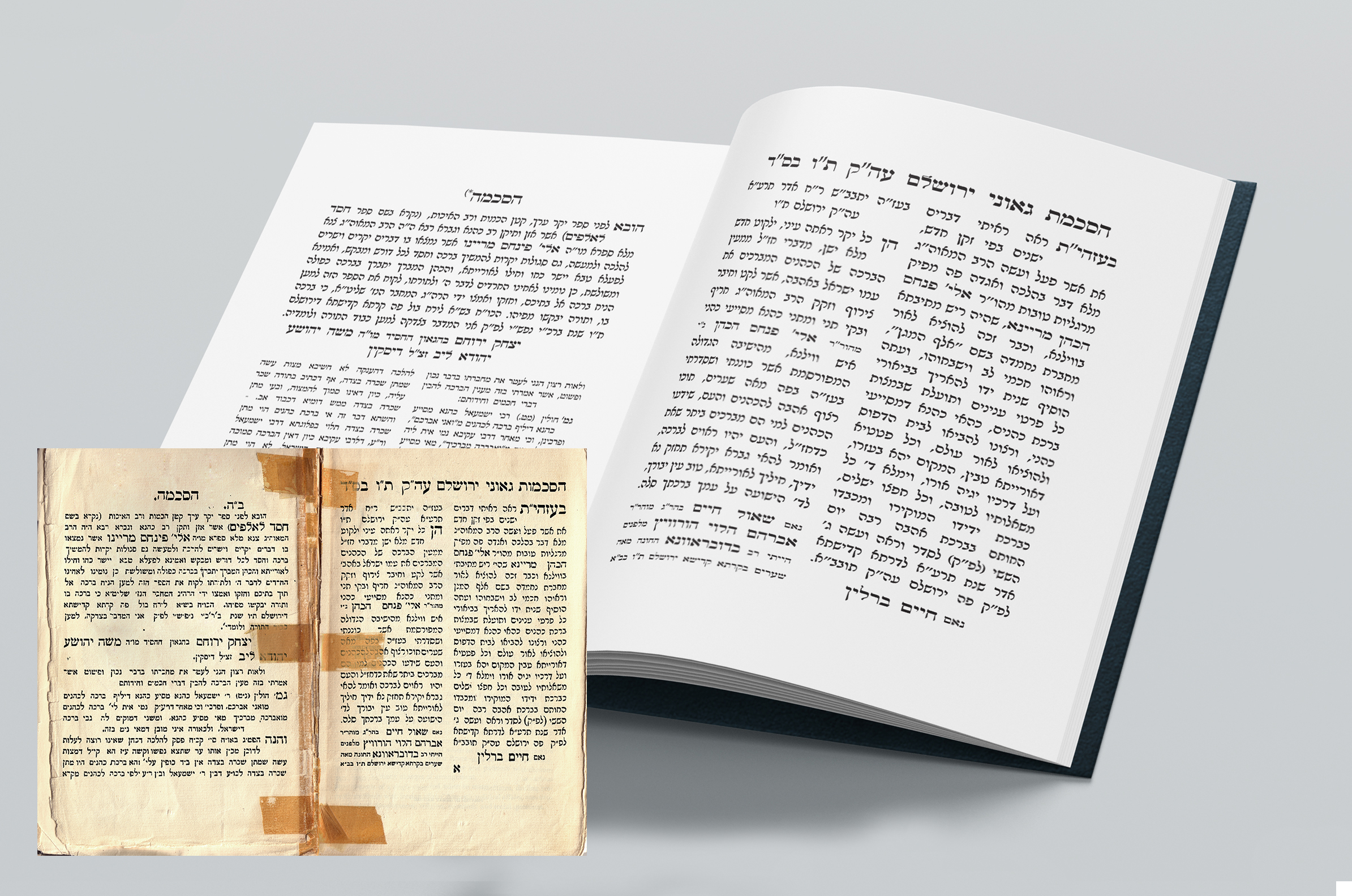 חסד לאלפיםs.jpg