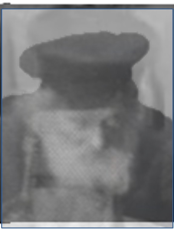 חפץ חיים משולב.png