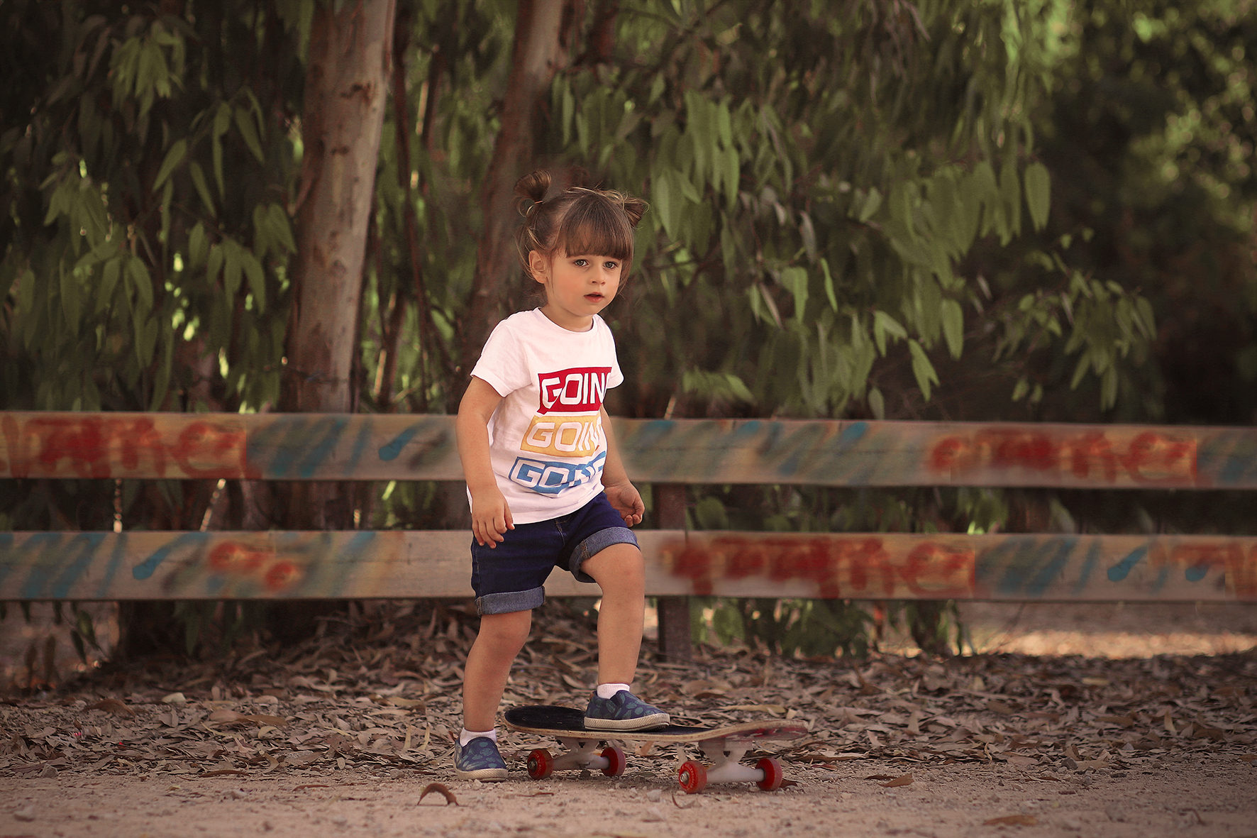 חתוך נוסע כולל תיקונים מוקטן.jpg