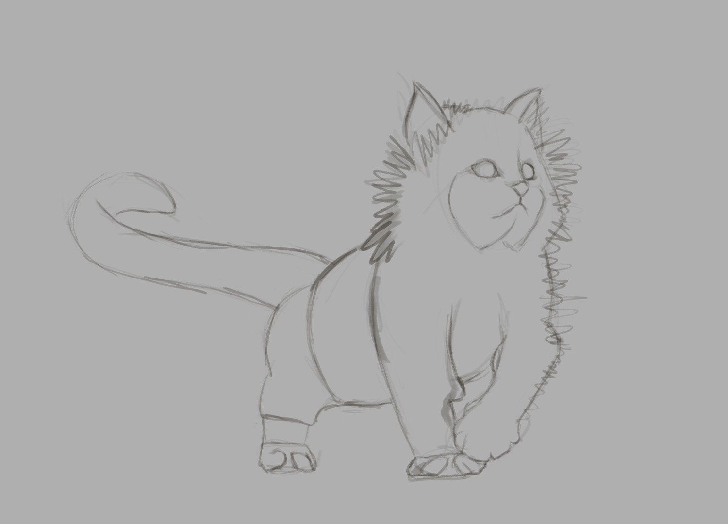 חתול גור 1.jpg