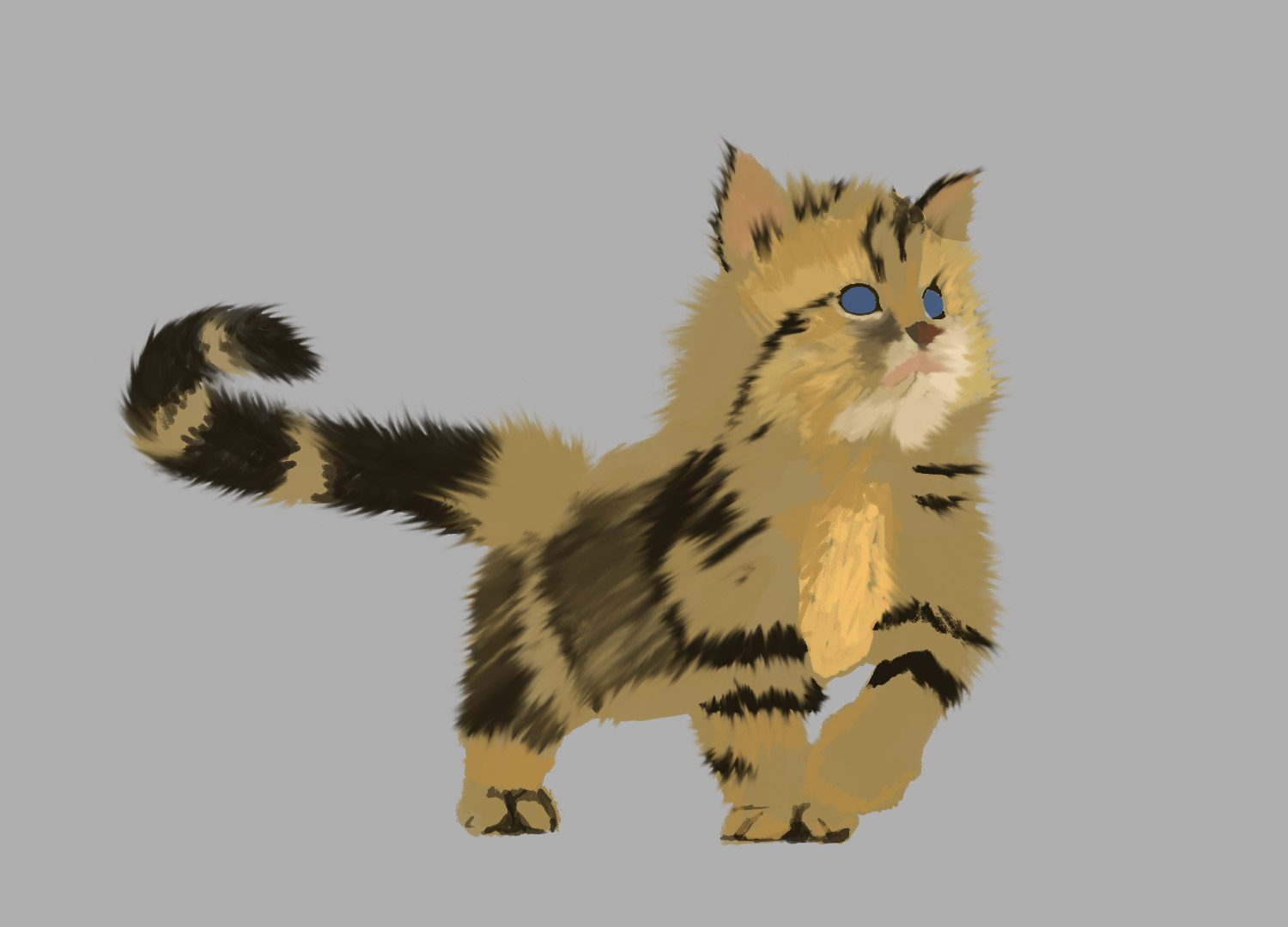 חתול גור 3.jpg