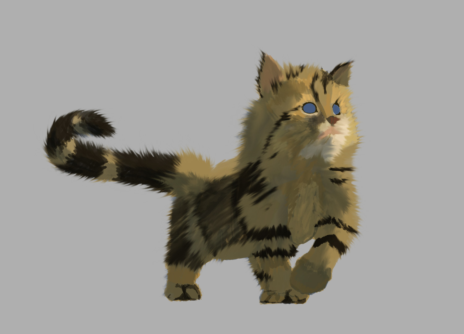 חתול גור 4.jpg