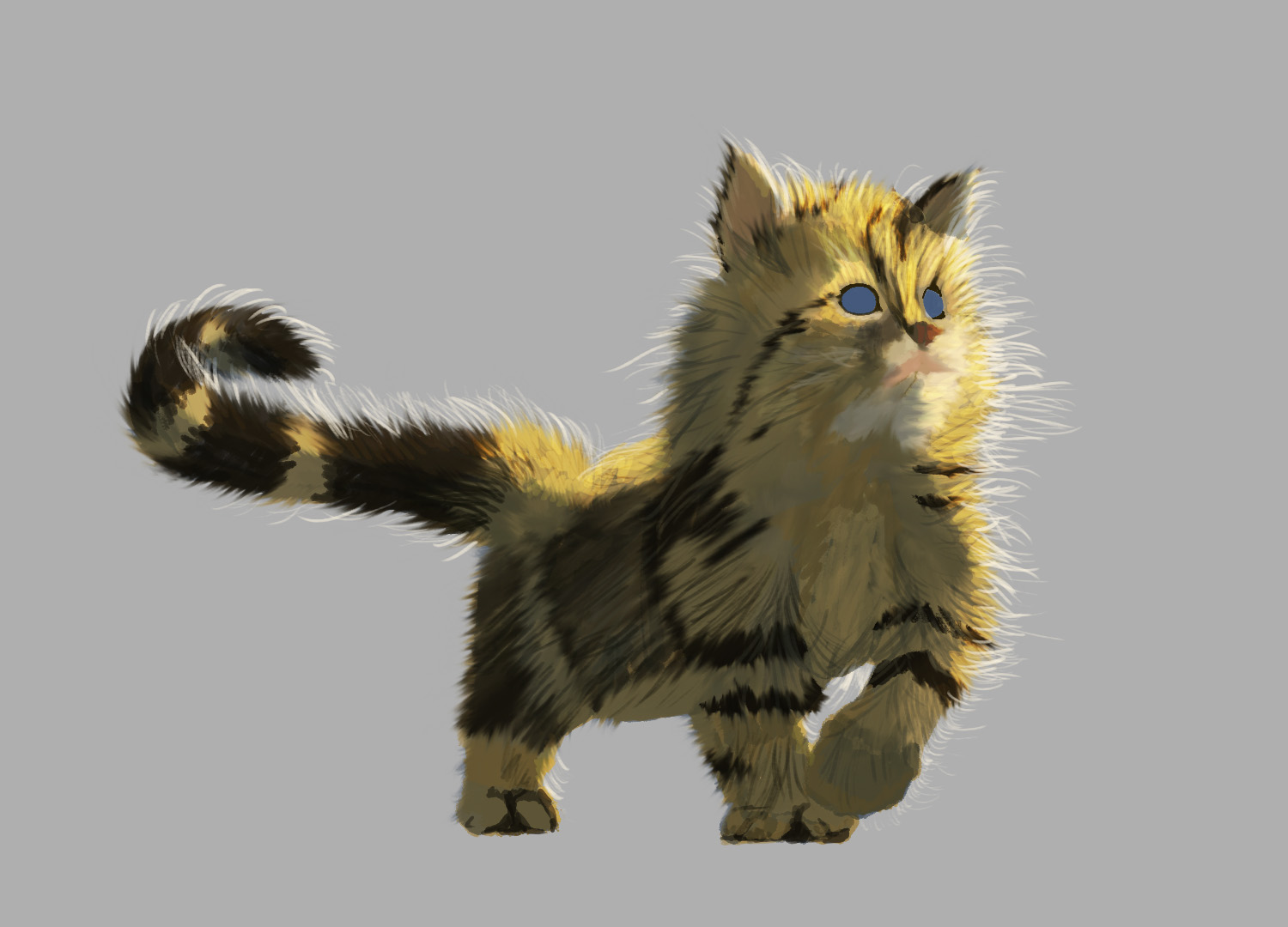 חתול גור 5.jpg