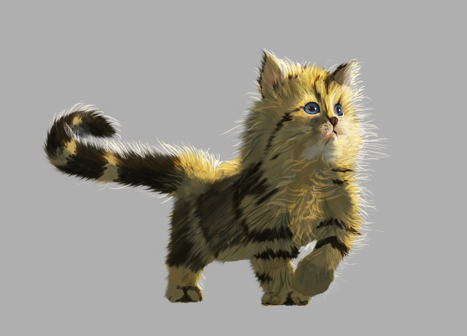 חתול גור 6.jpg