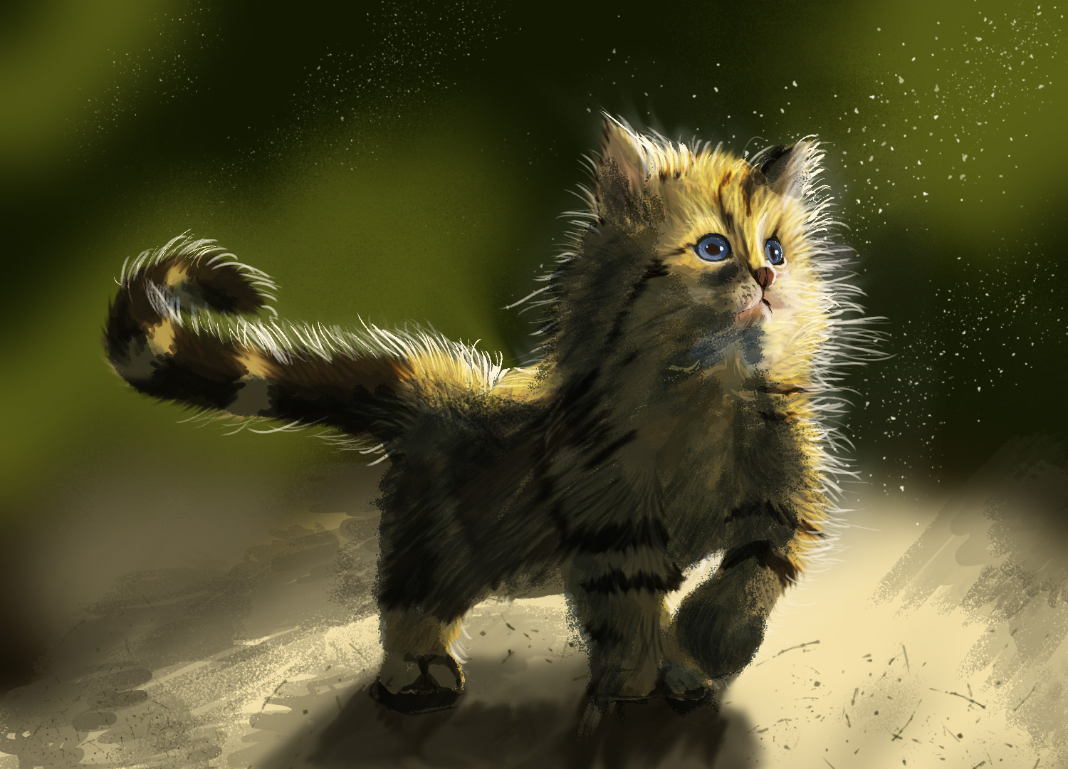 חתול גור 7.jpg