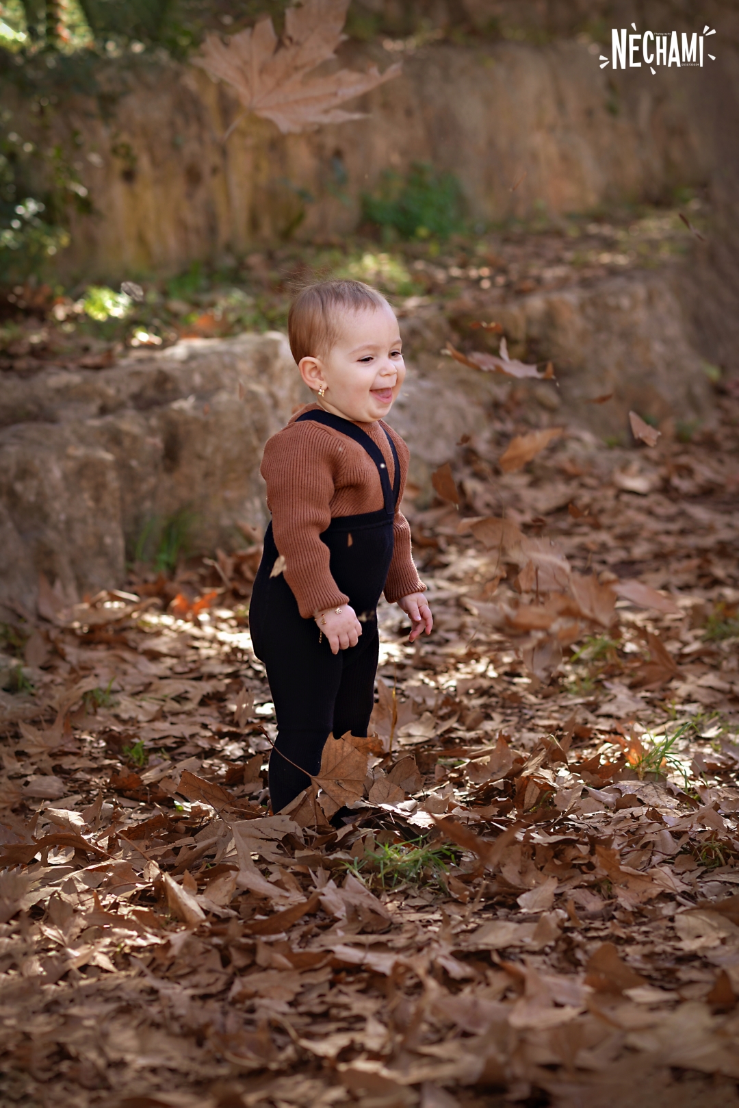 חתוםם (Large).jpg