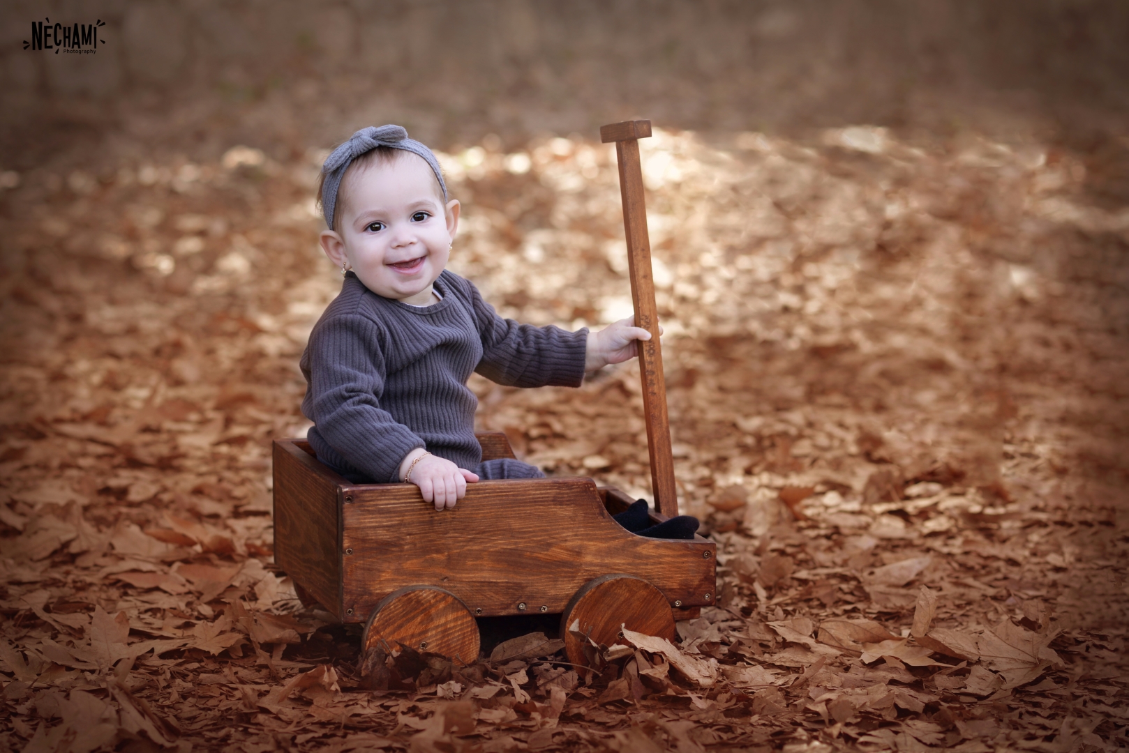 חתום 1 (Large).jpg