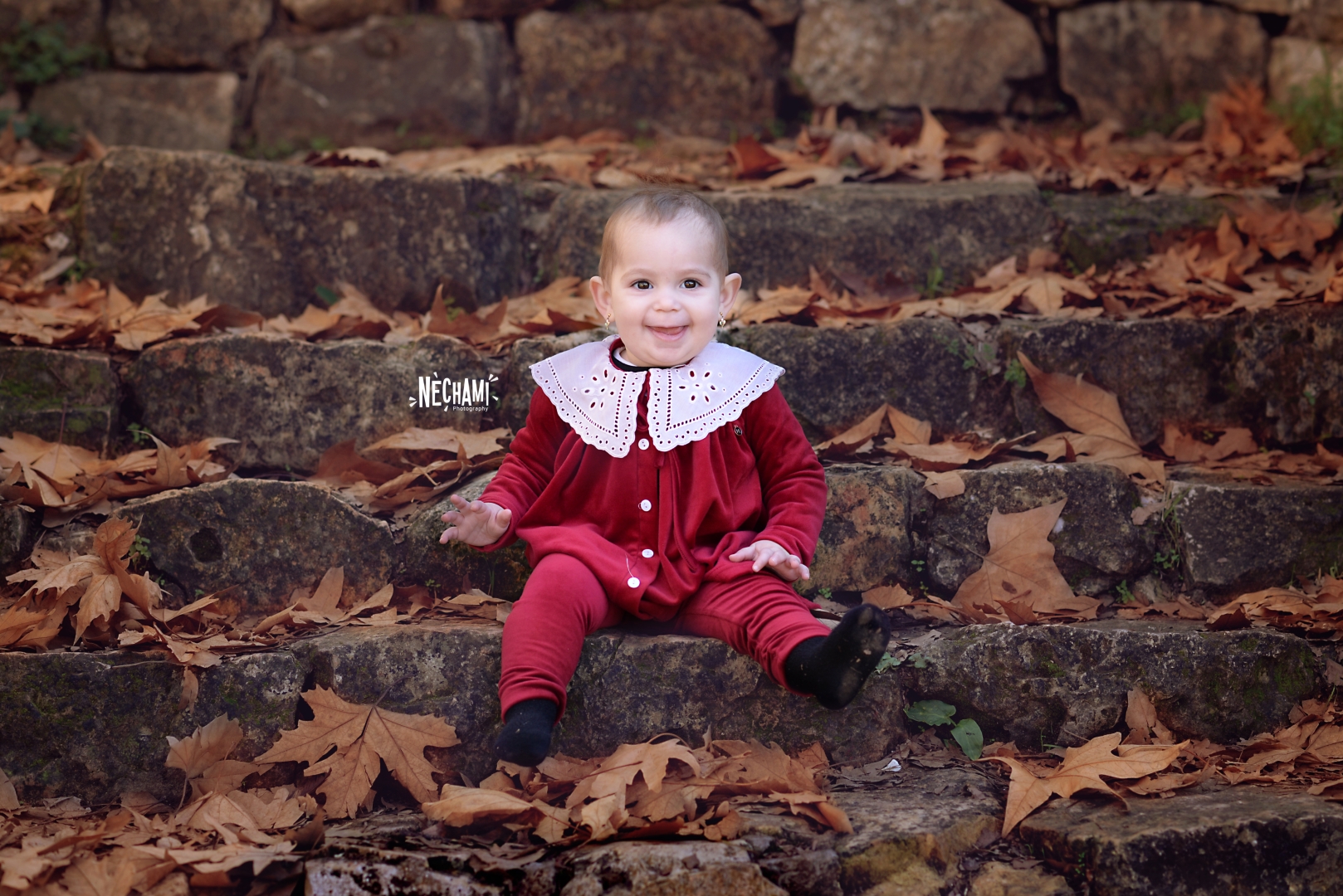 חתום2 (Large).jpg