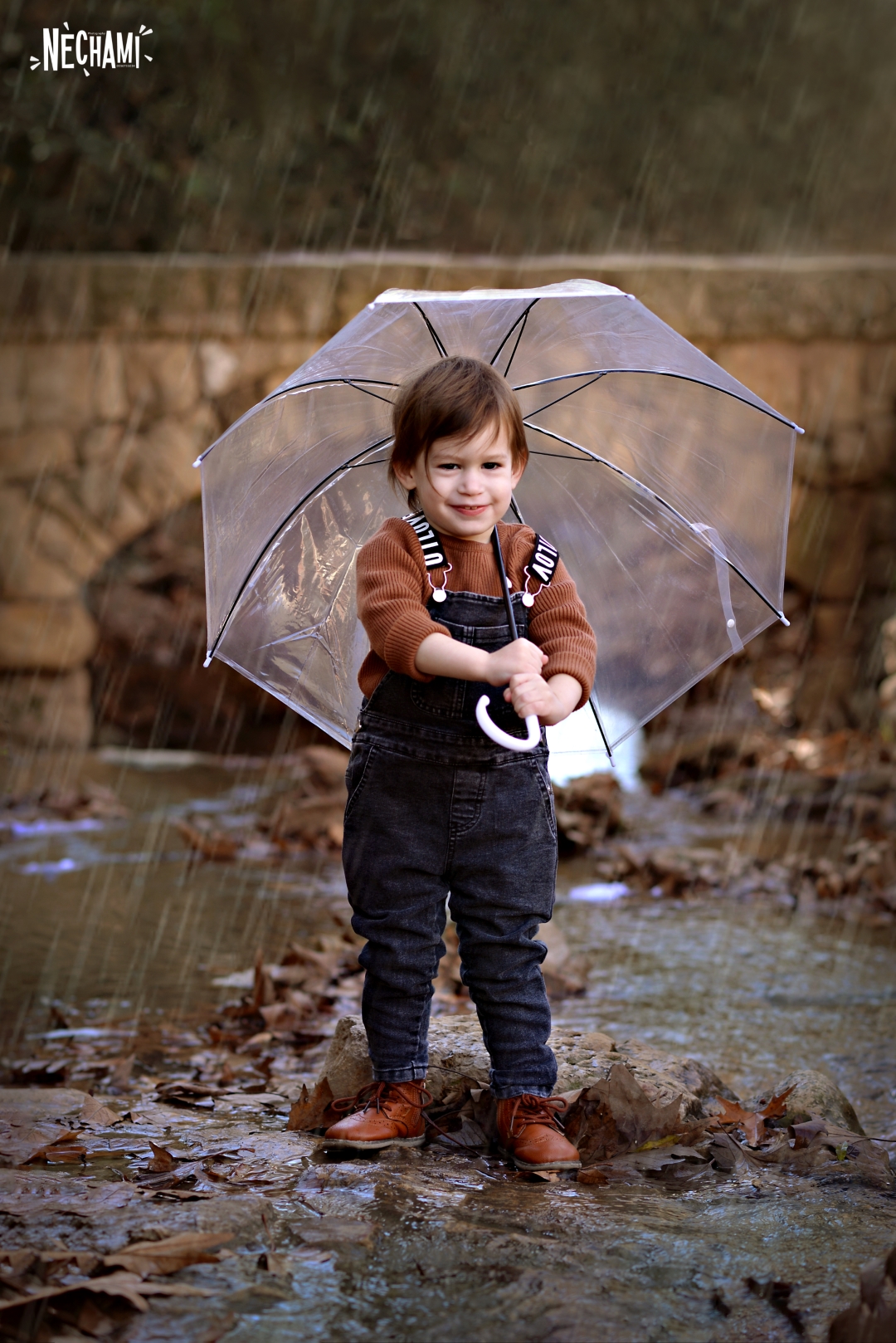 חתום3 (2) (Large).jpg