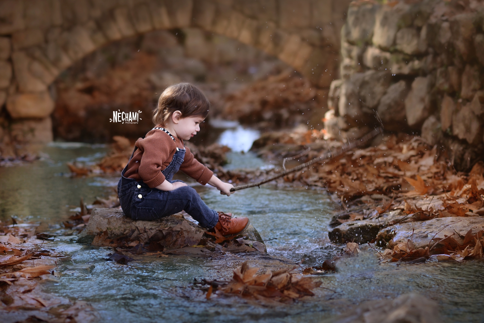 חתום3 (Large).jpg