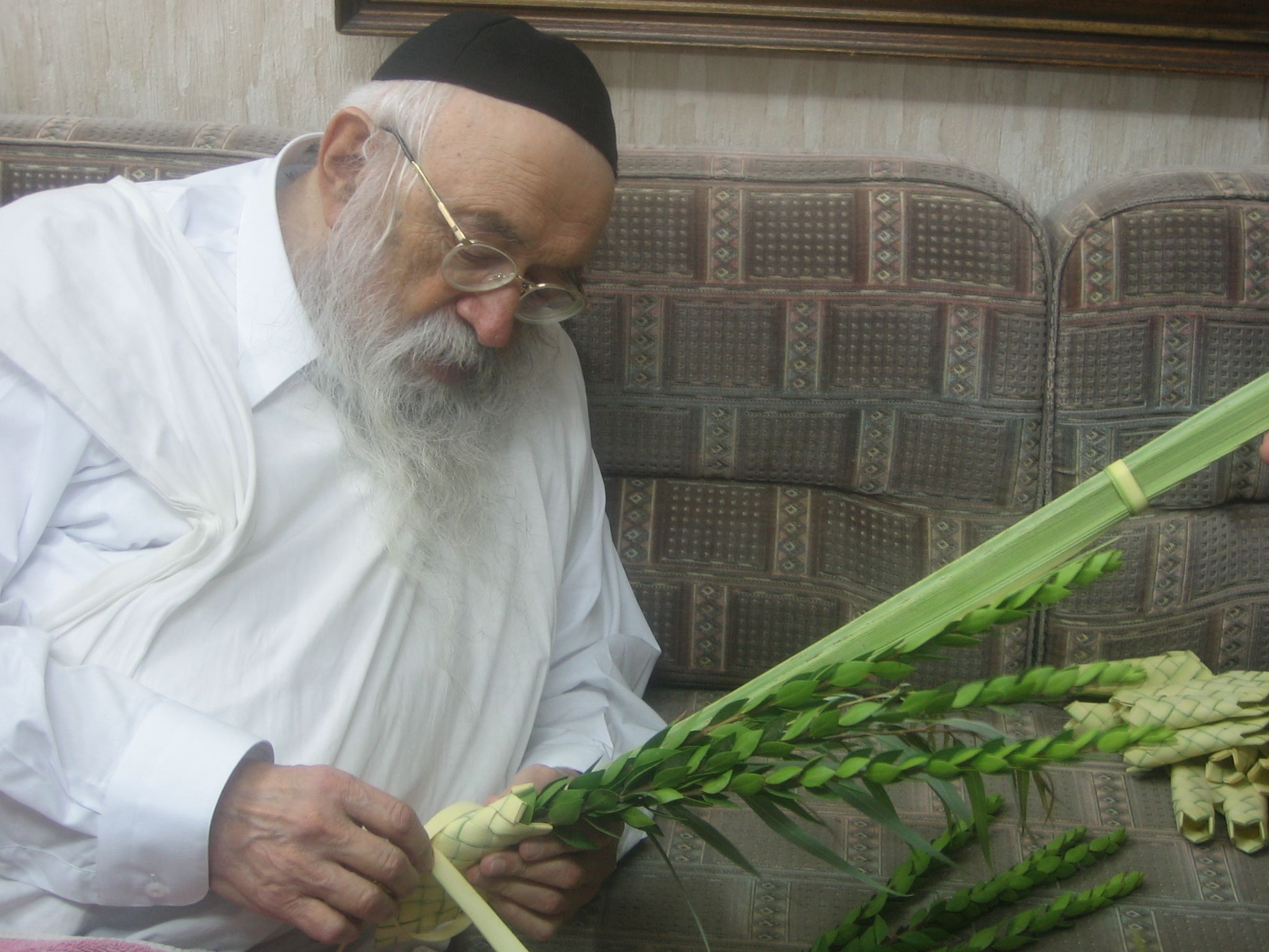 ח' תשרי 170.jpg