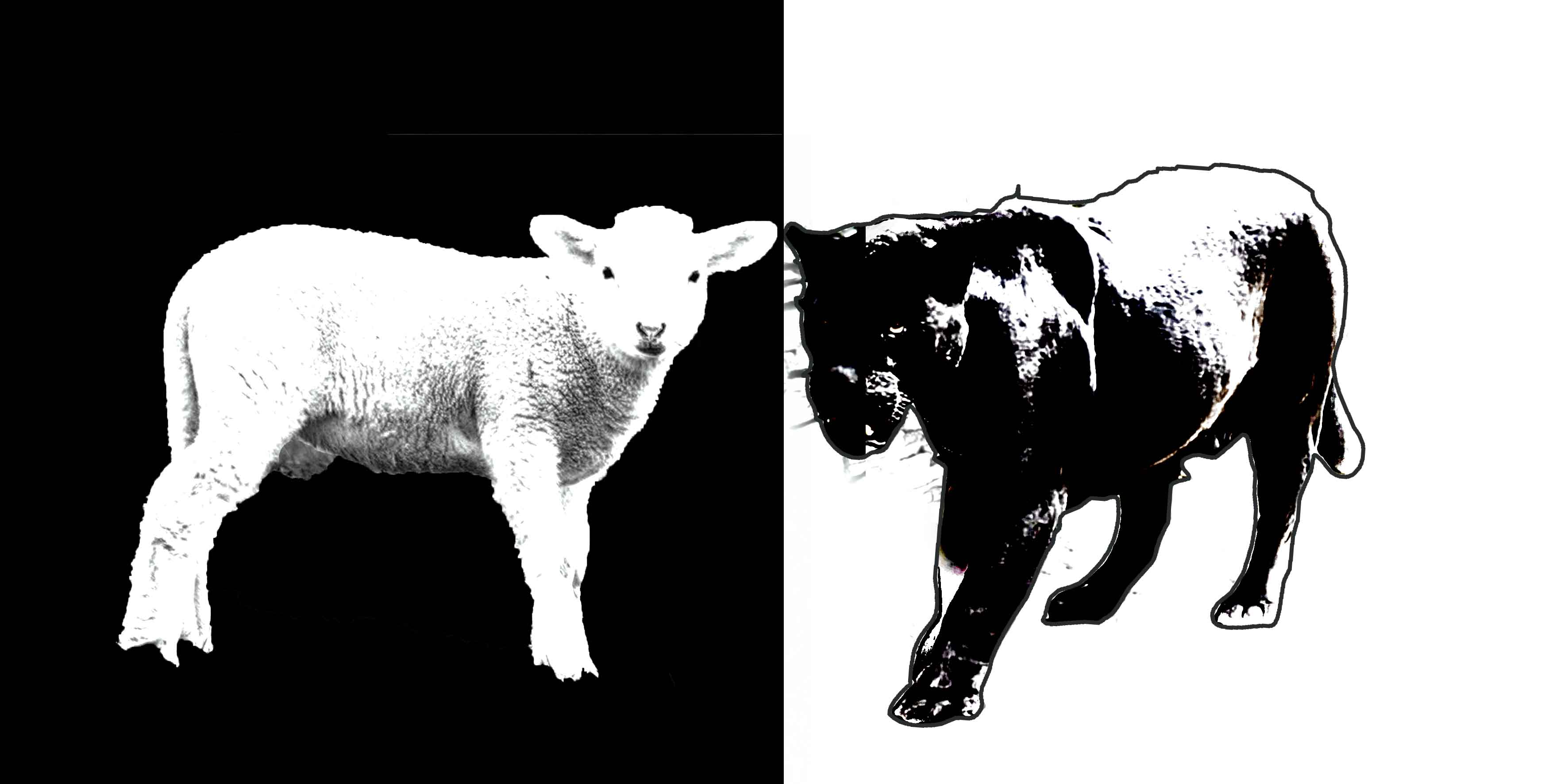 טהור _ טמא 2.jpg