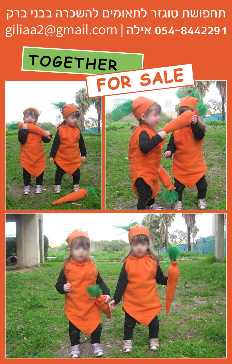 טוגזר להשכרה.jpg