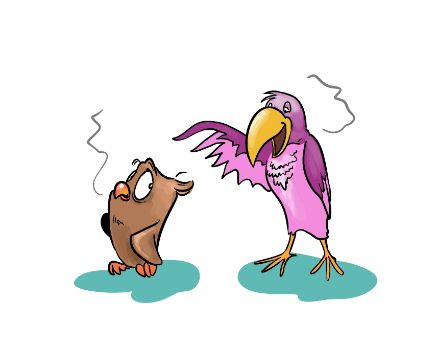 טווס מדי יפה.jpg