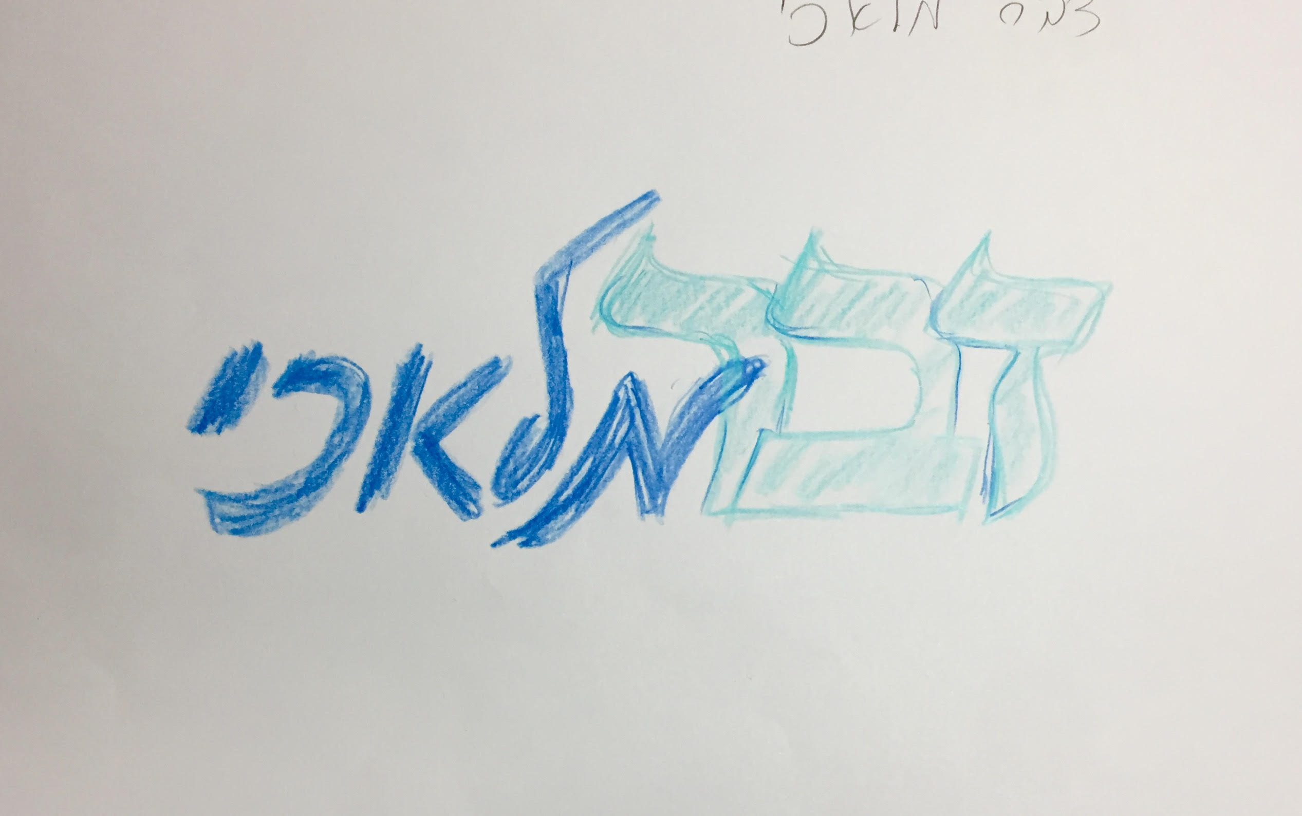 טויטה.jpg