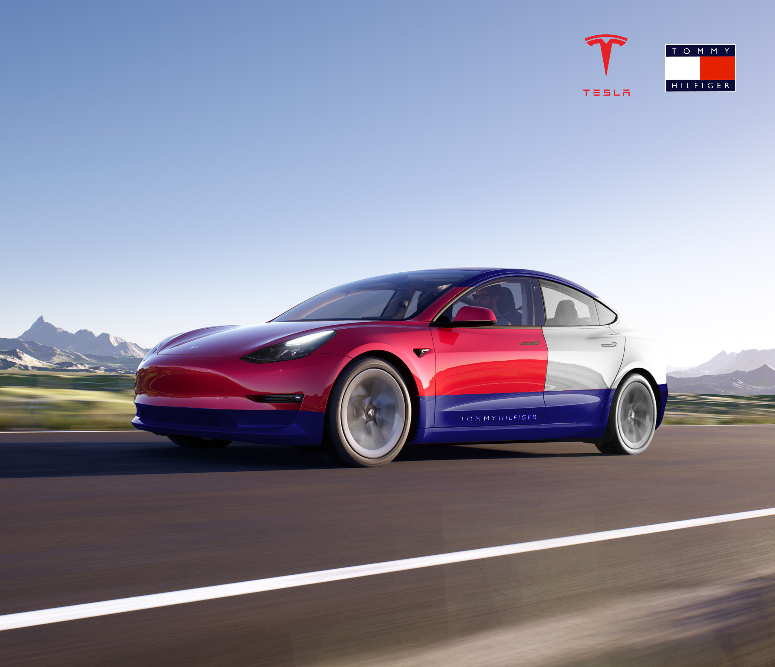 טומי & טסלה.jpg