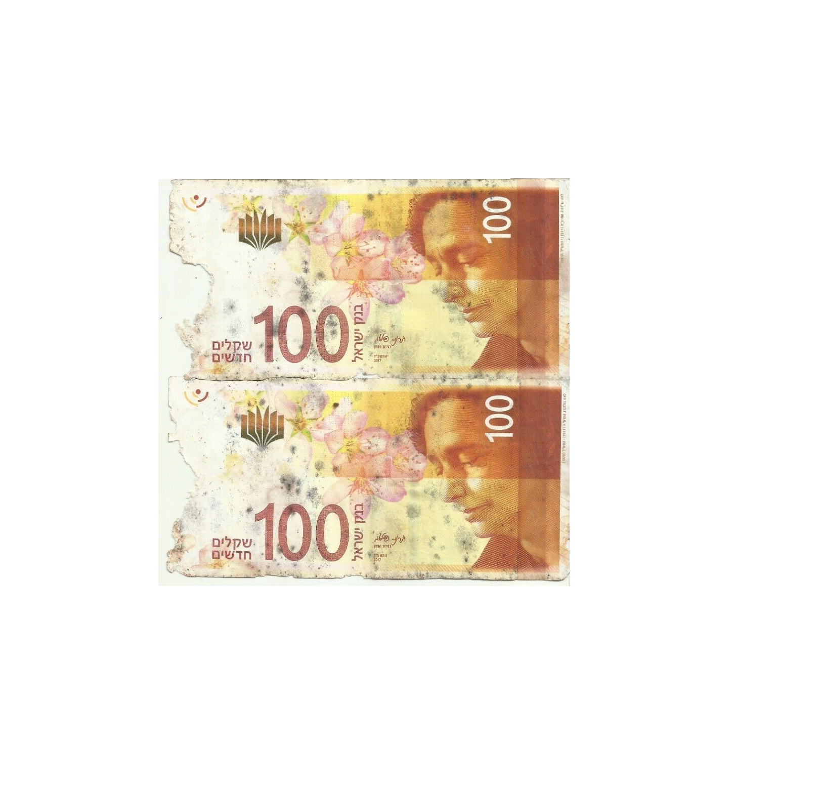 טטטטטטטטטט.png
