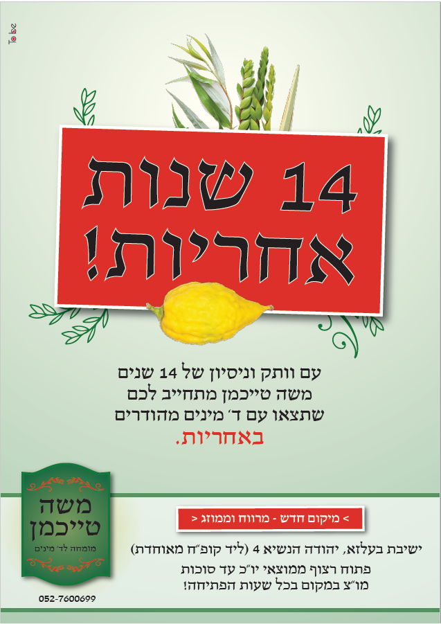 טייכמן חיתוך.png