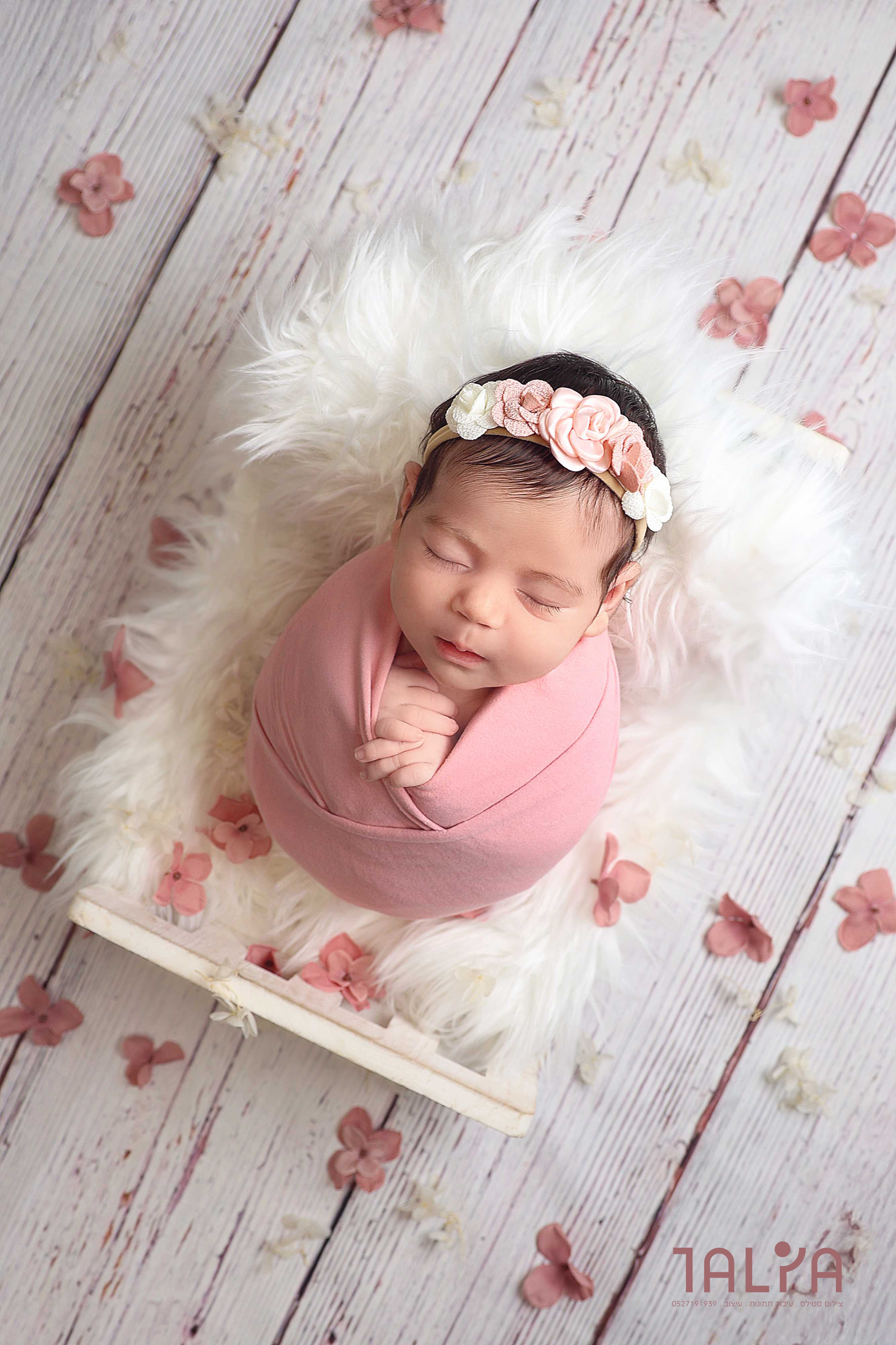 טליה צילום 0527191939 (5).jpg